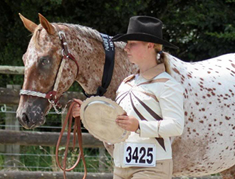 SHOW BREEDS-HACKS SHOW BREEDS-HACKS